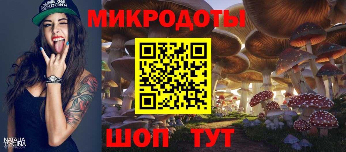 Курчалой  Псилоцибиновые грибы Cubensis  Вход с VPN 
