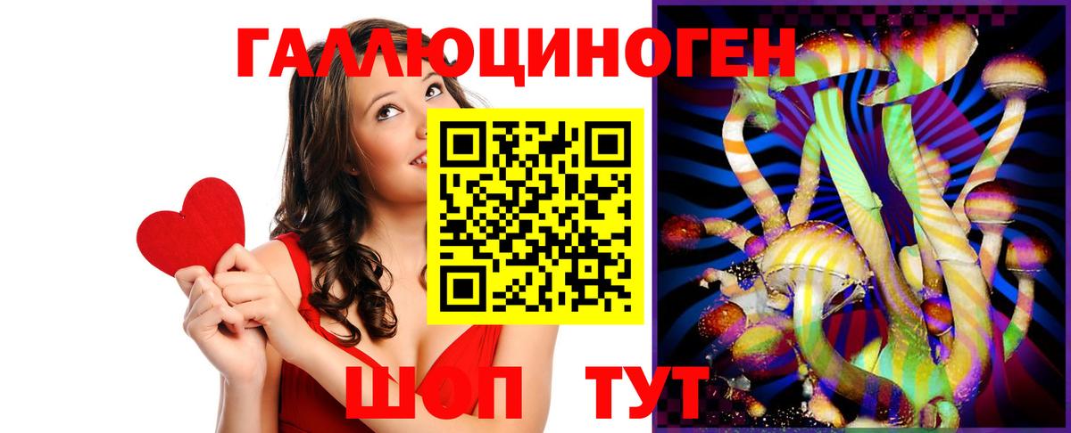 Галлюциногенные грибы GOLDEN TEACHER Курчалой